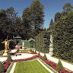 Meet your Posher, Ashlyn